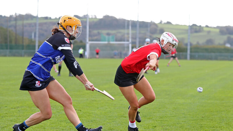 Linda Mellerick on camogie: Sars underage talent gelling into powerful senior squad Linda Mellerick on camogie: Sars underage talent gelling into powerful senior squad
