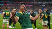 Rugby World Cup final: South Africa beat New Zealand to win record fourth title