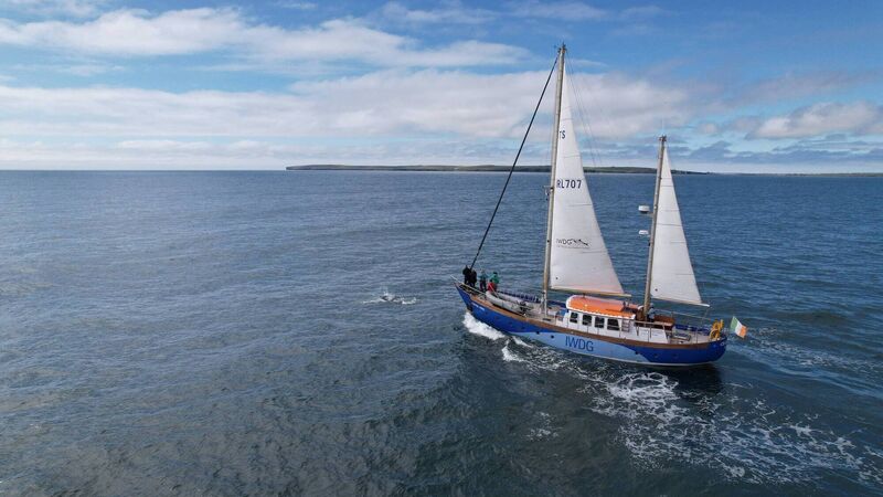 Scientists to host talk on sea life in Cork Scientists to host talk on sea life in Cork
