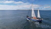 Scientists to host talk on sea life in Cork