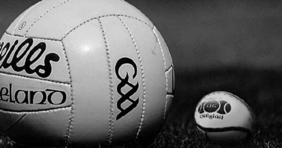 Man awarded €20,000 damages after he was scalded with gravy at GAA club - Vimarsana News