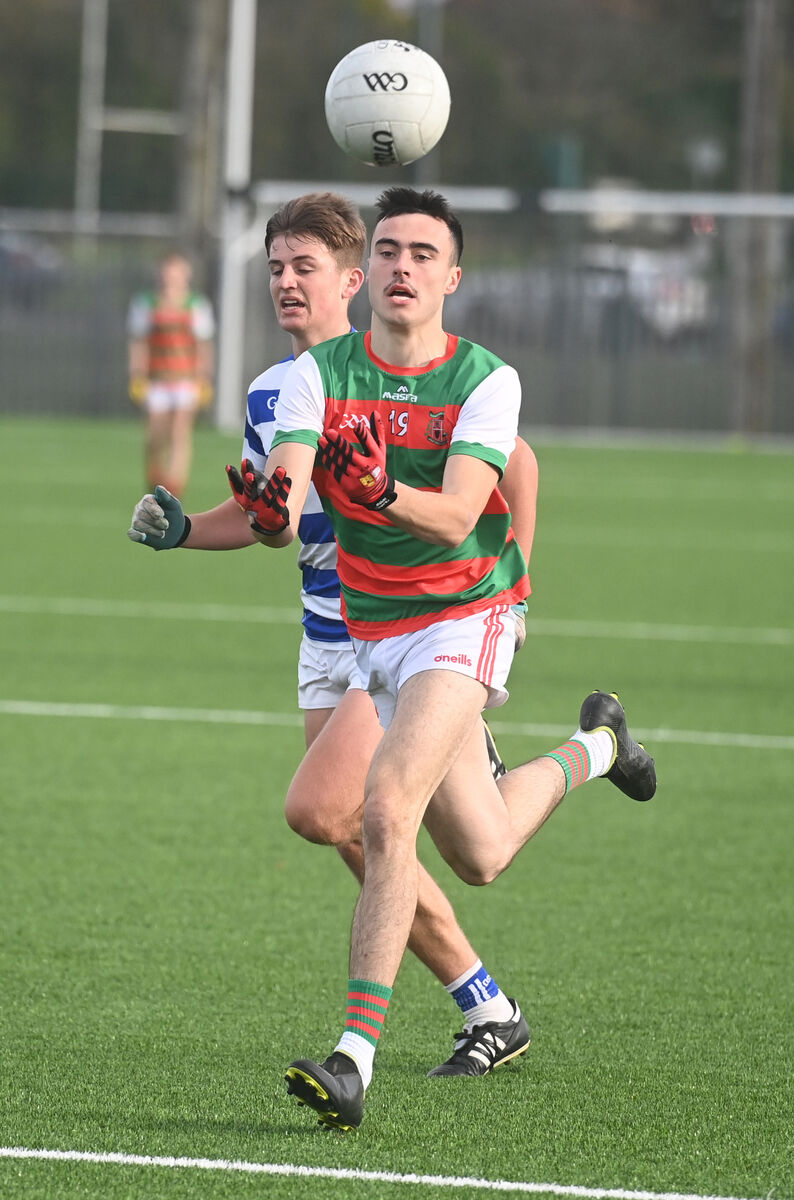 Cian Cooney of Patrician Academy. Picture: Larry Cummins