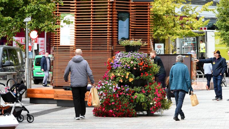Controversial 'CityTrees': Mixed views on what should be done next Controversial 'CityTrees': Mixed views on what should be done next