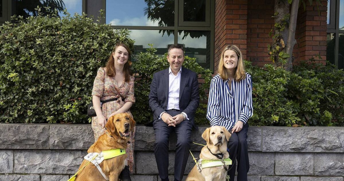 New partnership boost for Cork-based charity - Vimarsana News