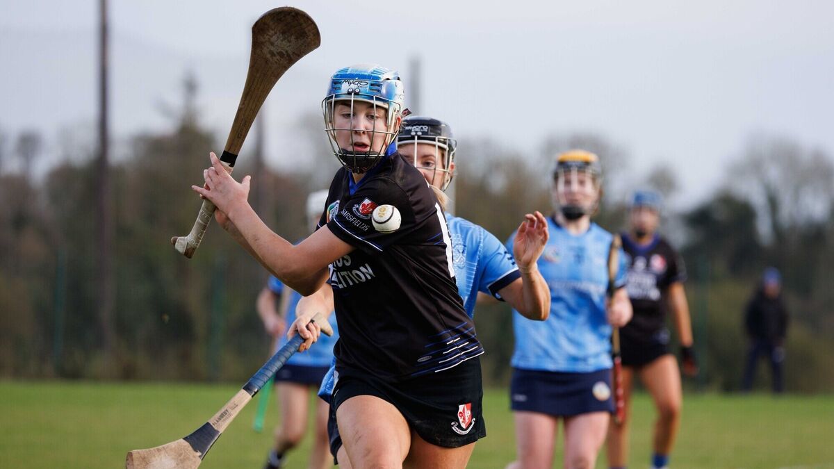Sarsfields show real grit to get past Truagh Clonlara and into Munster semi