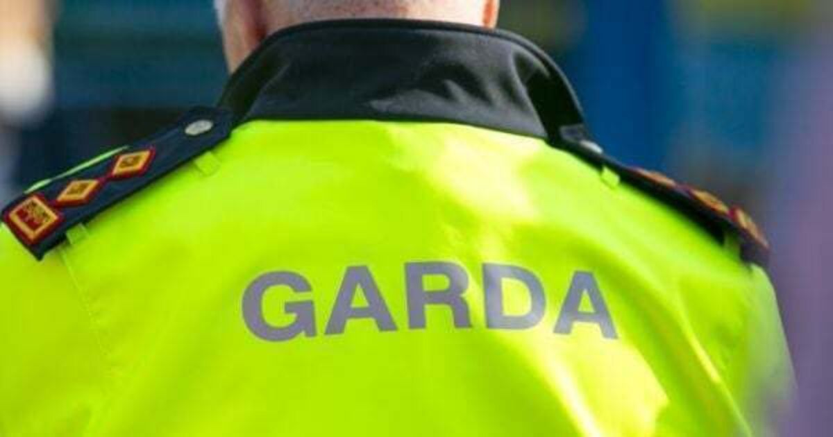 Brave Garda has 'strong desire to return to work' despite suffering life-changing injuries - Vimarsana News