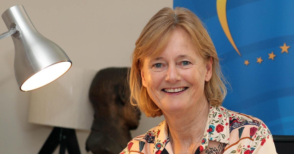 Cork MEP Deirdre Clune confirms she will not run again for election - Vimarsana News