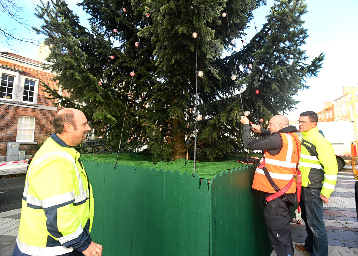 Cormac O'Sullivan, senior executive engineer, electrician Shane Kenny and Donal McGrath, executive technician all Cork City Council working on the Christmas tree at The Coal Quay.  Picture; Eddie O'Hare