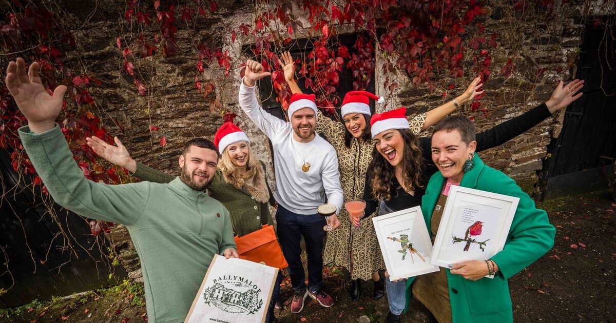 Ballymaloe craft fair braces itself for shoppers - Vimarsana News