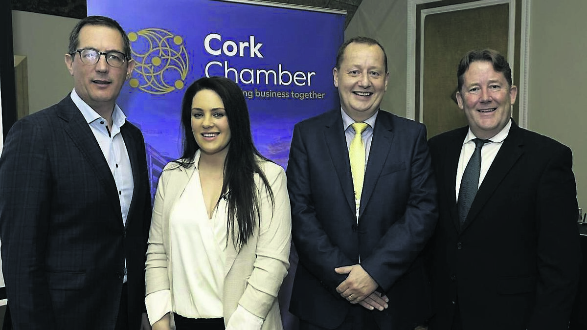 ‘Record-breaking year’ due for social housing, says Minister on Cork visit