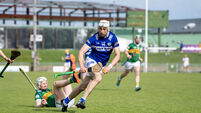 Cobh Ramblers' boss Shane Keegan on his role with Laois GAA