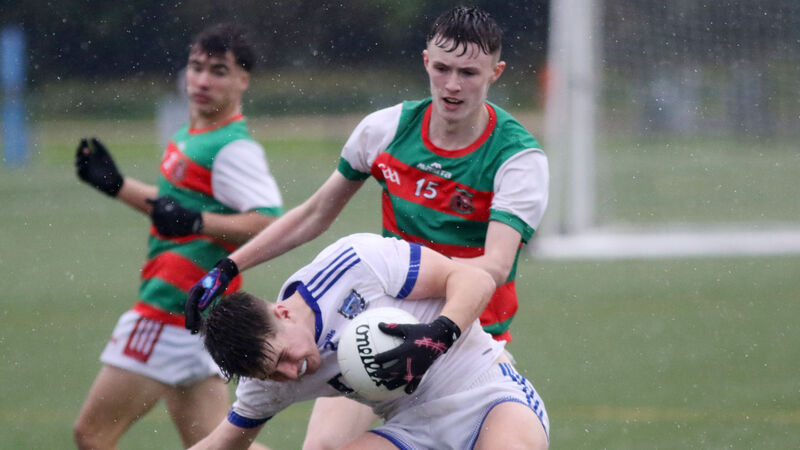 Corn Uí Mhuirí: Patrician Academy denied top spot by St Brendan's Corn Uí Mhuirí: Patrician Academy denied top spot by St Brendan's