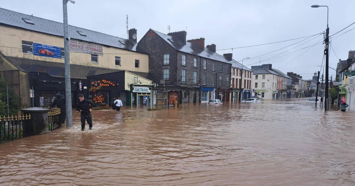 Cork County Council urge public to have their say on Climate Action Plan - Vimarsana News