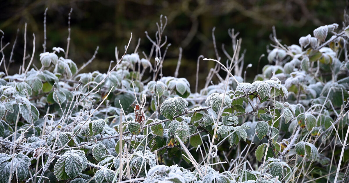Cork set for cold snap with temperatures plummeting in coming days - Vimarsana News