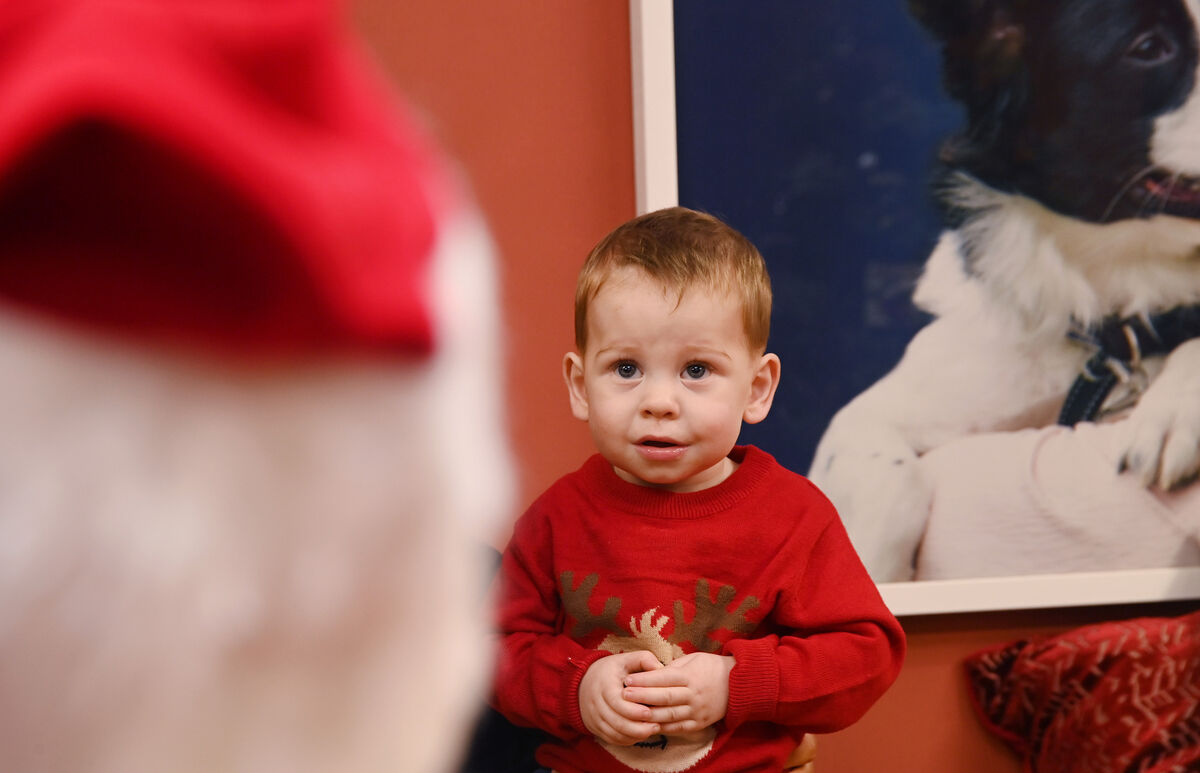 Archie Nagle meeting Santa at the Christmas lights switch-on at the CSPCA, Mahon, Cork.