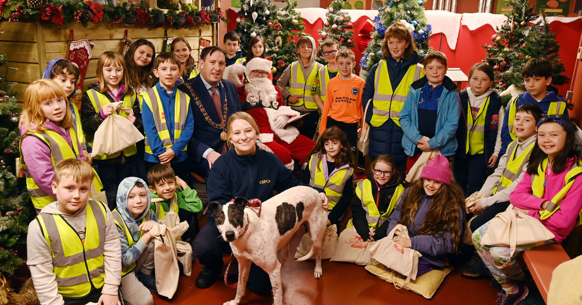 Pictures: Meet Santa Paws and bring your dog - Vimarsana News