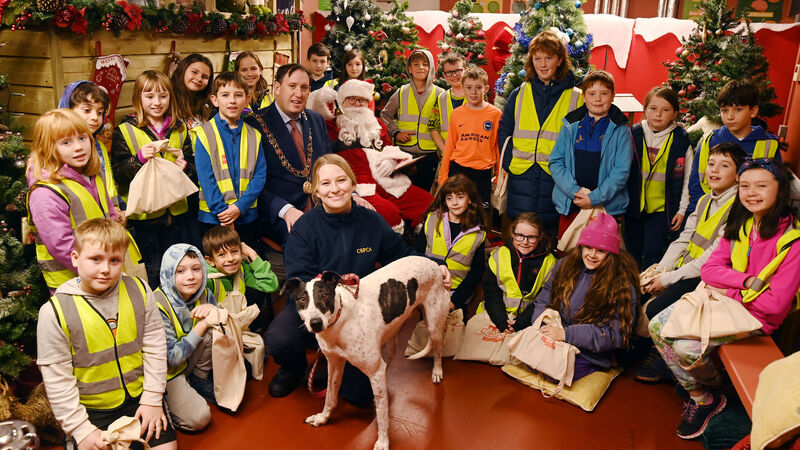 Pictures: Meet Santa Paws and bring your dog