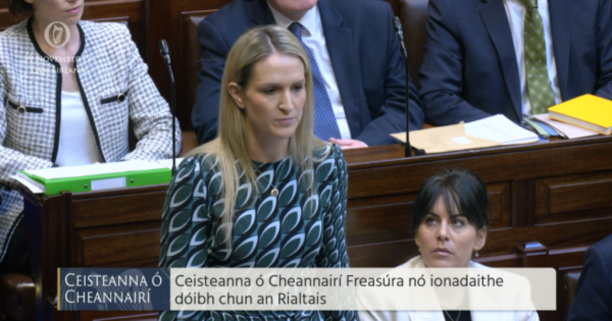 Government accused of 'water-weak defence' over claims Dublin riots unpredictable - Vimarsana News