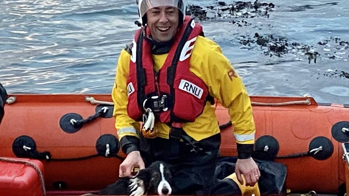'A very happy ending for all concerned': Cork RNLI crew bring sheepdog to safety 