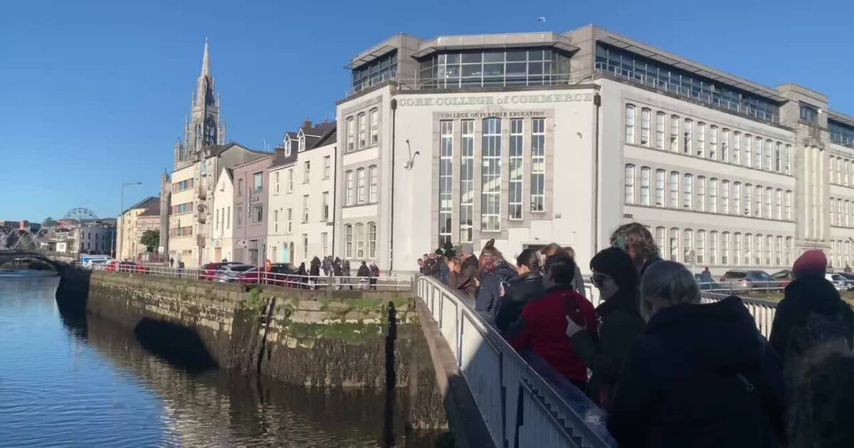 Dolphin sighting in Cork city sparks concern - Vimarsana News