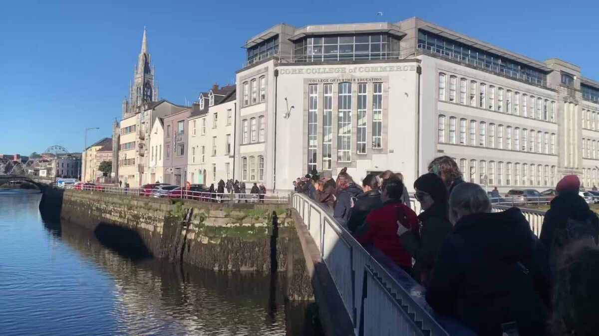 Dolphin sighting in Cork city sparks concern