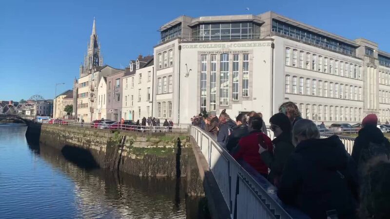 Dolphin sighting in Cork city sparks concern