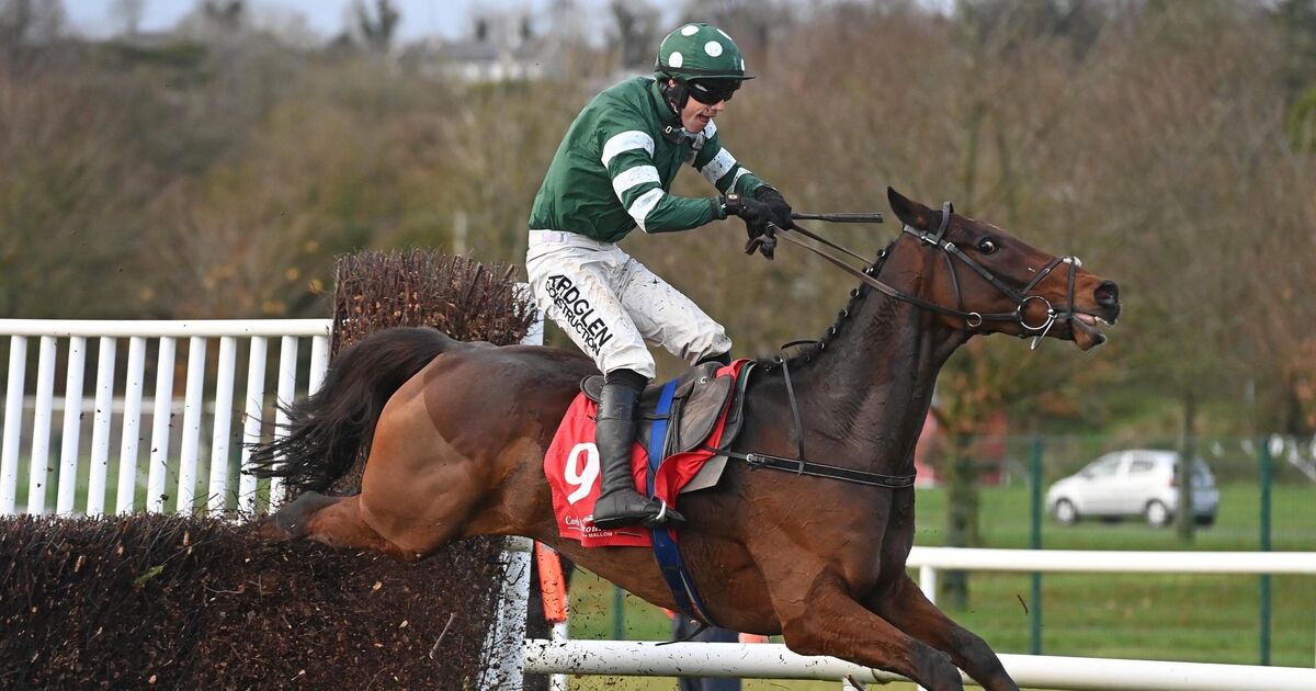 Cork Racing Brian Hayes savours success