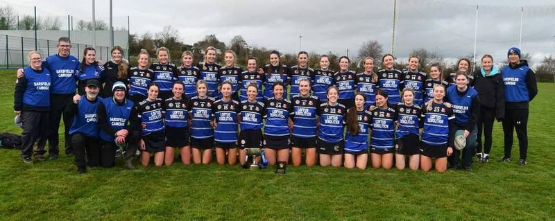 The Sarsfields team that will take on sars from Galway in the All-Ireland camogie club semi final.