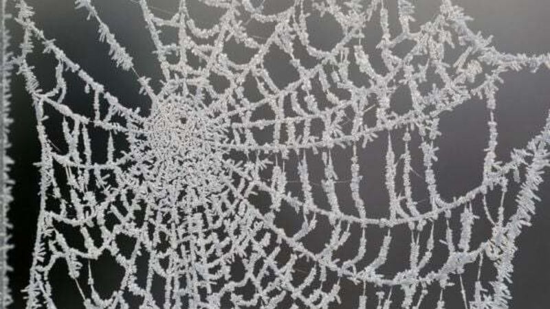 Cold snap brings warnings of ice and fog nationwide Cold snap brings warnings of ice and fog nationwide