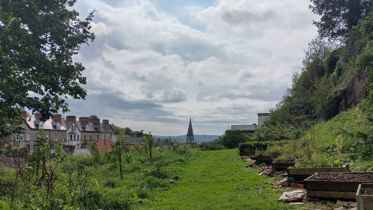 Council commits to new signs in community garden