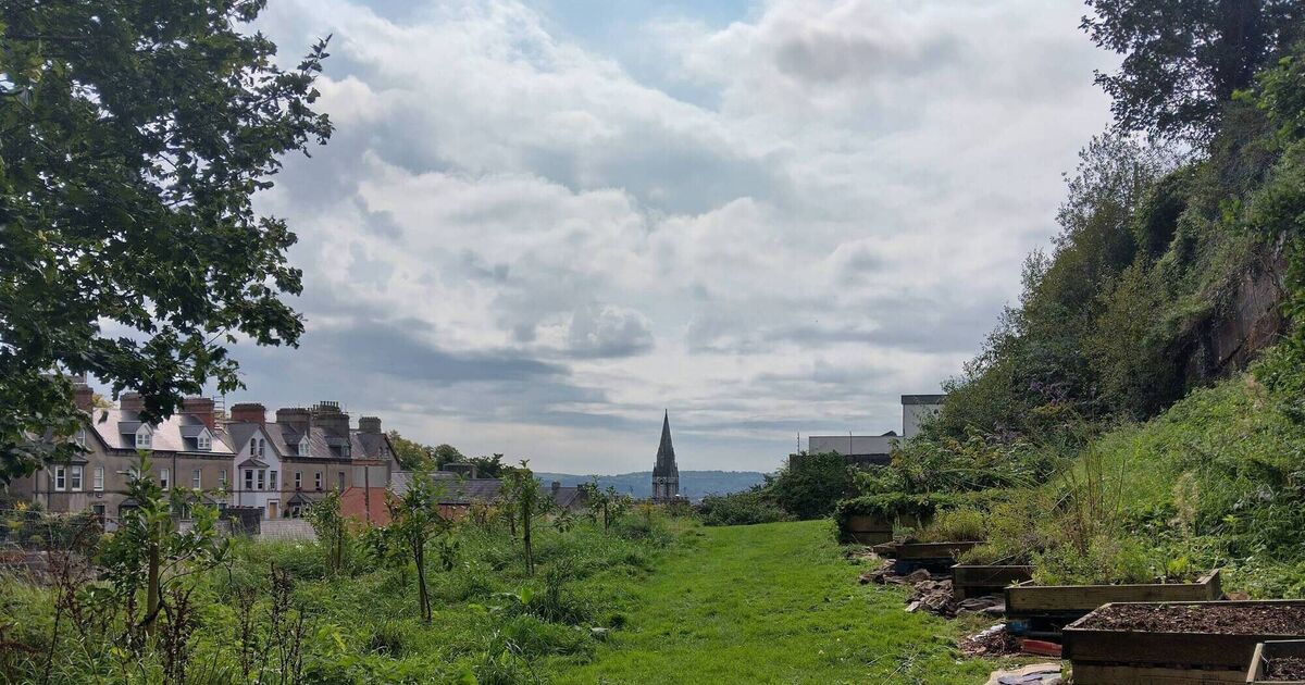 Council commits to new signs in community garden - Vimarsana News