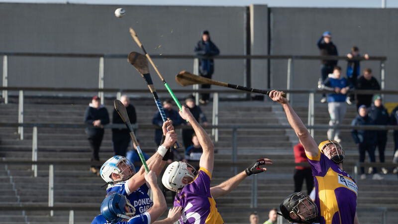 Munster Club JHC: St Catherine's take provincial crown with win over Feenagh-Kilmeedy