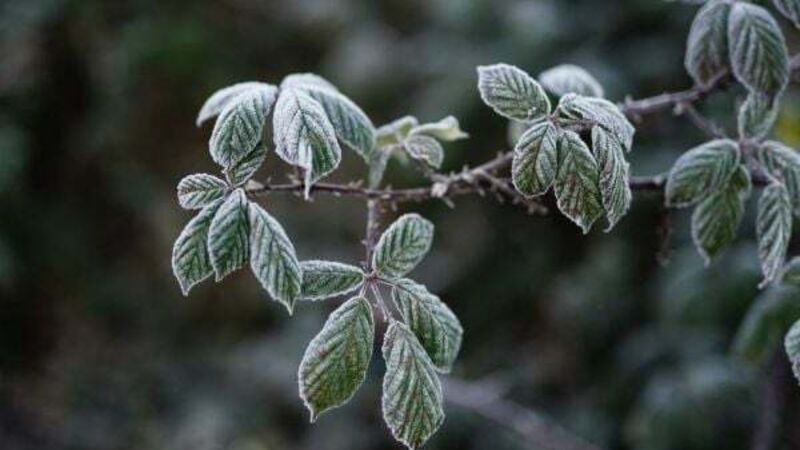 Low temperature and ice warning extended Low temperature and ice warning extended