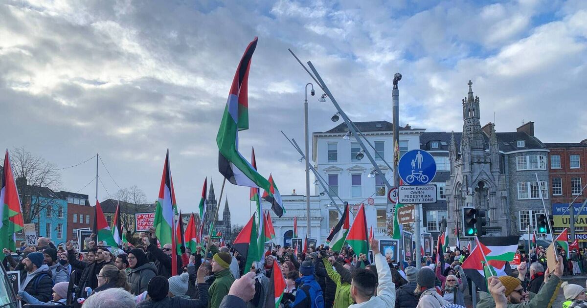 'The numbers are still coming out': Cork hosts eighth rally in support of Palestine - Vimarsana News