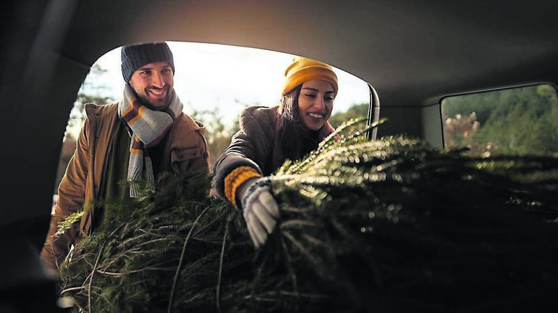 Will you be using a plastic or real tree?