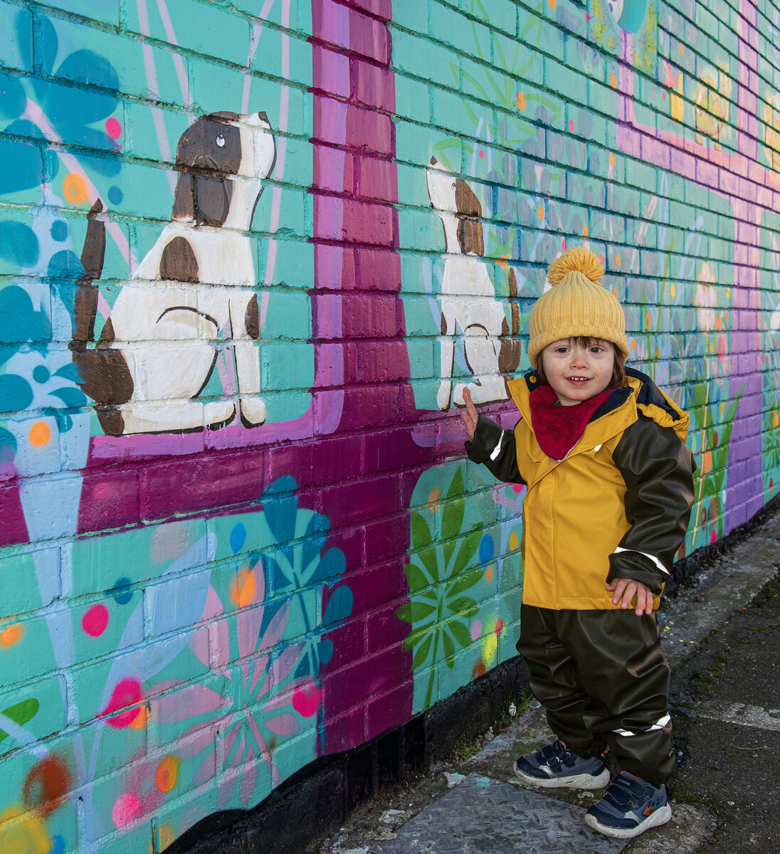  Two-year-old Olan Keogh-Walsh loving the dogs in the mural by artist Blanca Rice at the Brighter Futures Centre, Ardmore Avenue, Knocknaheeny, Cork. Picture Dan Linehan