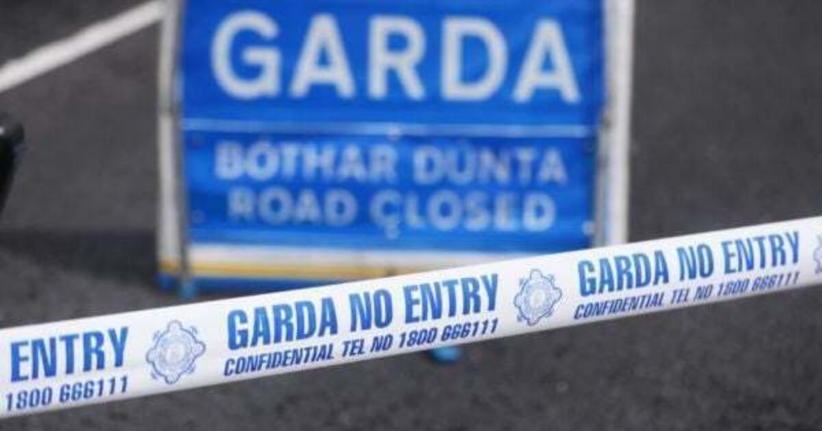 Three people arrested in connection to fatal Dublin assault - Vimarsana News