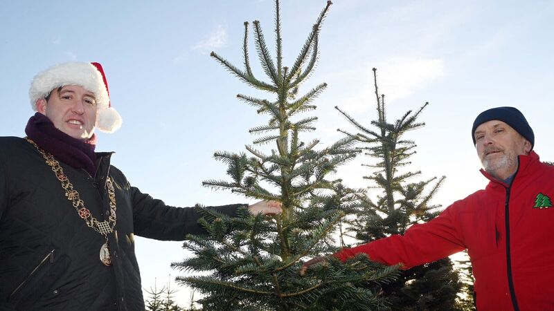 Cork Christmas tree farm sharing the joy with charities