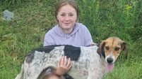 Authority proves once again in draghunting, he is the dog they must all beat