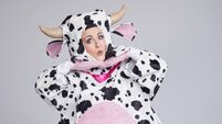 Moo....ve over! There’s a new Cork face on the panto scene