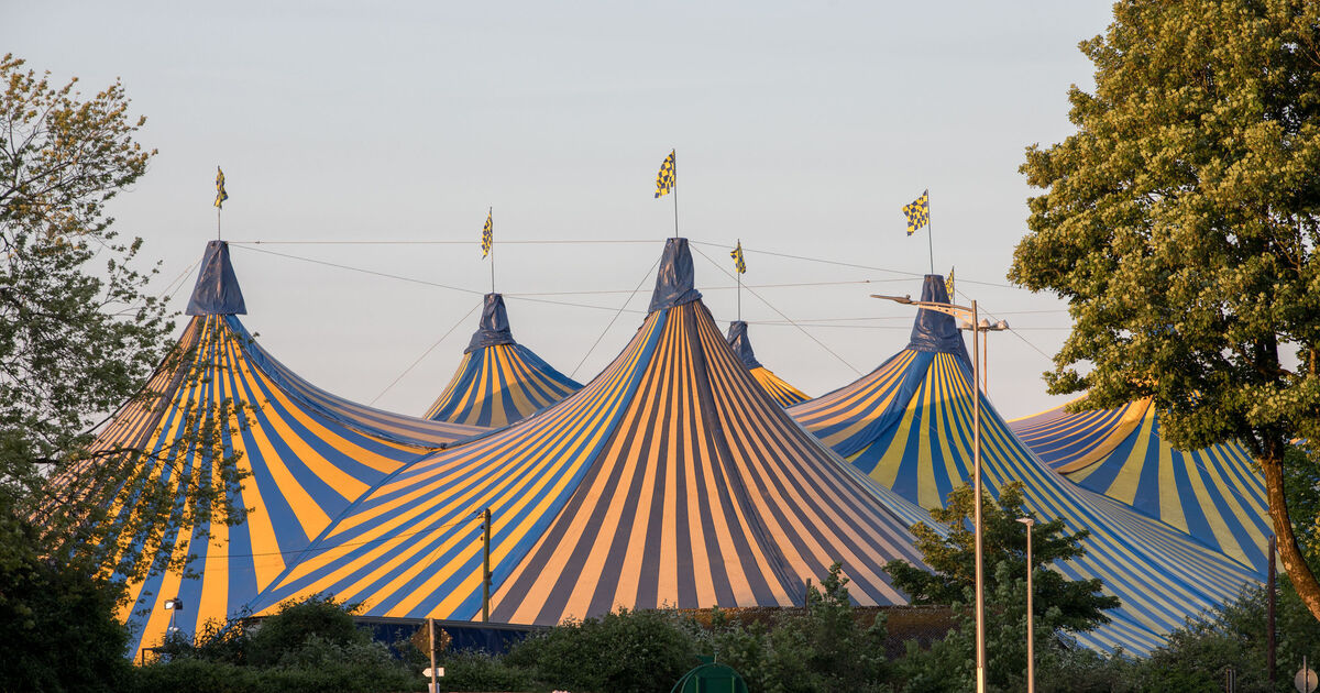 'It's going to have a major facelift': Peter Aiken shares first details on new Marquee venue - Vimarsana News