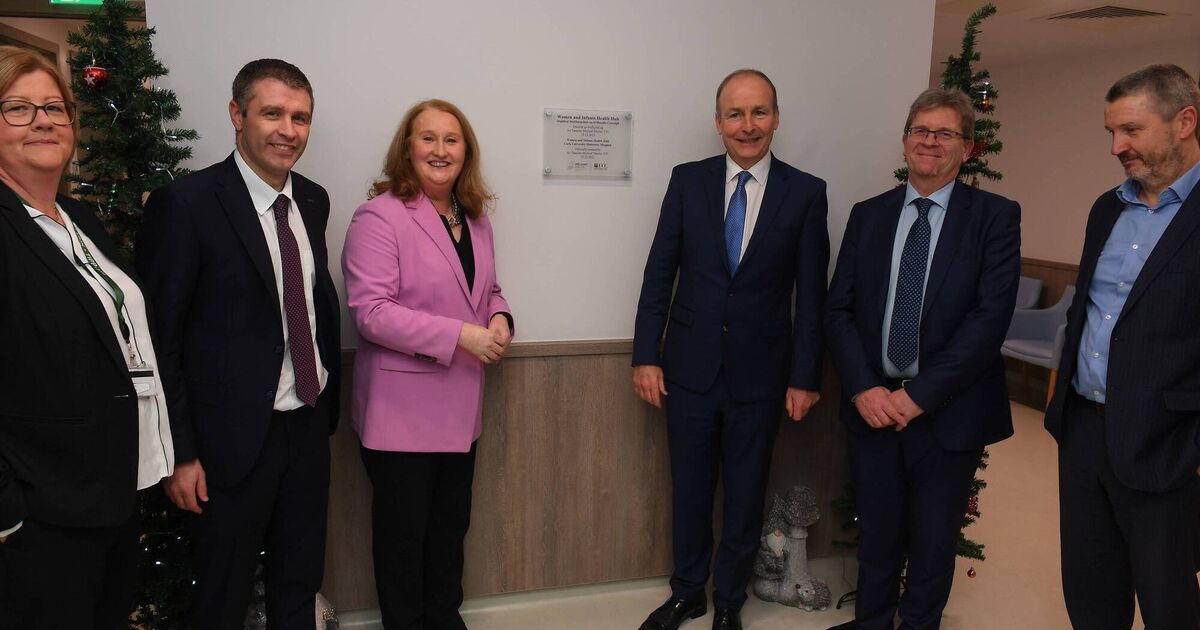 Plans progressing for endometriosis hub and publicly funded IVF service in Cork - Vimarsana News