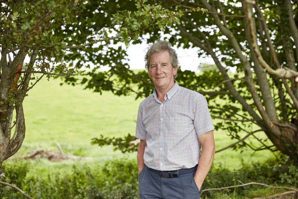 Co Monaghan-based turkey farmer Pat McCaghey is a third-generation poultry producer whose Bord Bia Quality Assured fresh turkeys are one of Lidl’s many home-grown offers. Co Monaghan-based turkey farmer Pat McCaghey is a third-generation poultry producer whose Bord Bia Quality Assured fresh turkeys are one of Lidl’s many home-grown offers.