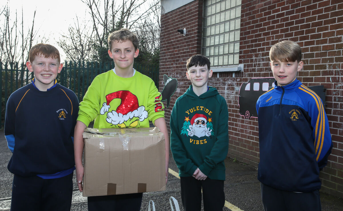 School council members, Lewis McCarthy, Jack Meade, Kayden Egan and Dale O'Mahony of Blarney Street National School with some of the donations of food that will be delivered to for Penny Dinners on Little Hanover Street, Cork. - Picture: David Creedon