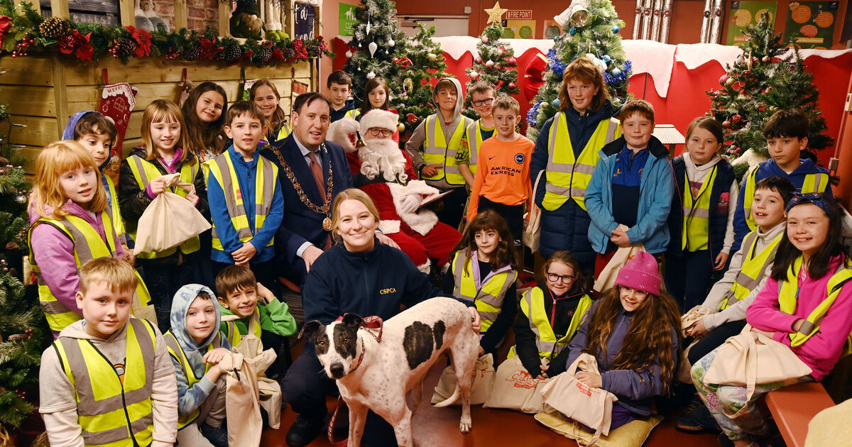 The Lord Mayor of Cork's Christmas message - Vimarsana News