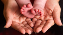 Baby pain research
