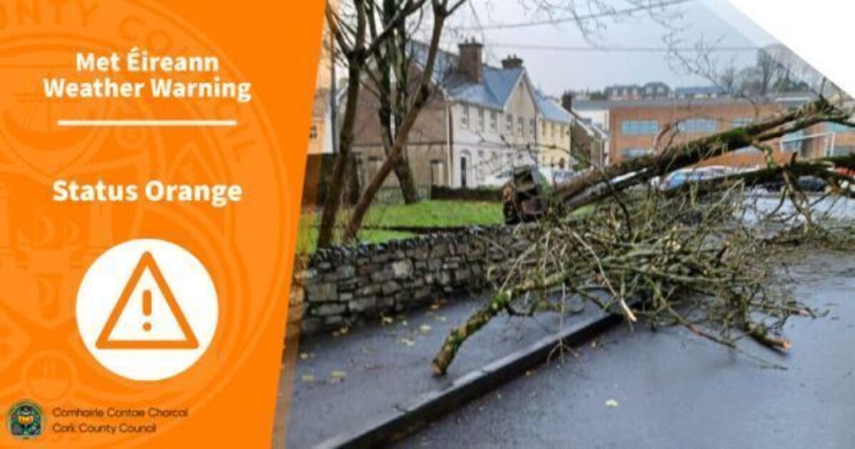 Storm Gerrit: Roads across Cork closed, Fota shuts gates early - Vimarsana News
