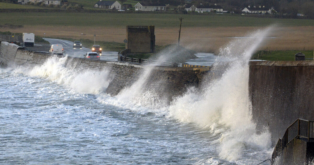 Some homes and businesses remain without power across Cork after Storm Gerrit - Vimarsana News