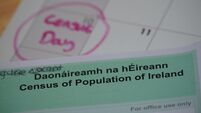 Irish census