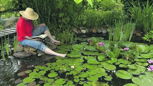 <p class="contextmenu internal_Caption">Kathriona Devereux is planning to build a pond in her garden in 2024 - they are great for the environment and for wildlife</p>